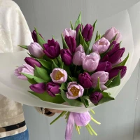 Фиолетовый букет из 25 тюльпанов